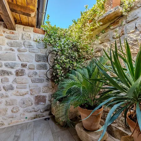 Style Stone Lux Solis * Nin