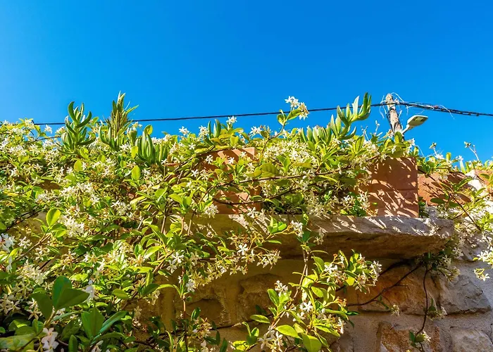 Villa Style Stone Lux Solis