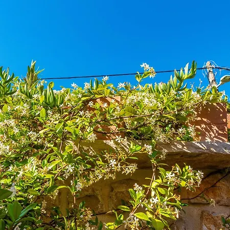 Villa Style Stone Lux Solis